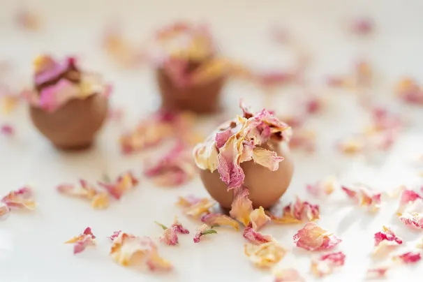 קזינו לוטוס אסיה אפליקציית Android/iOS